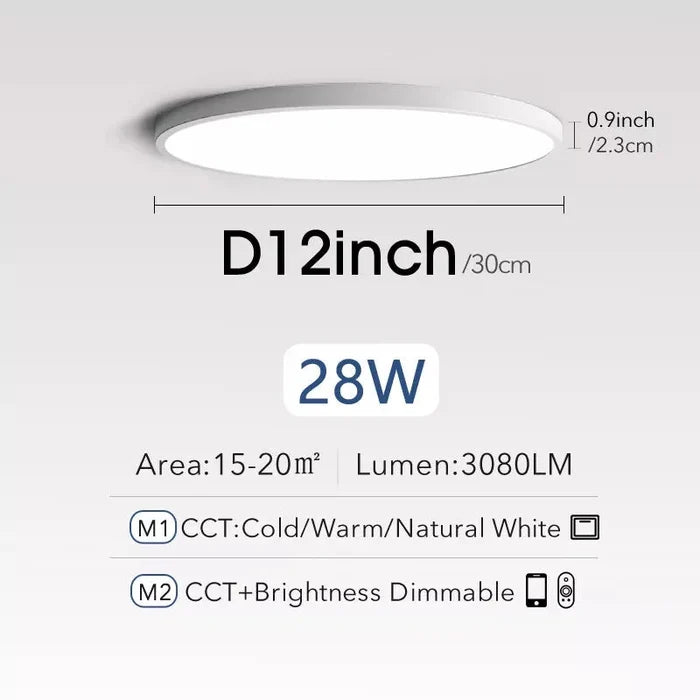 White-12inch-28W / China / Cold White-No Remote