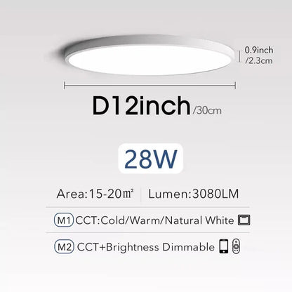 White-12inch-28W / China / Cold White-No Remote