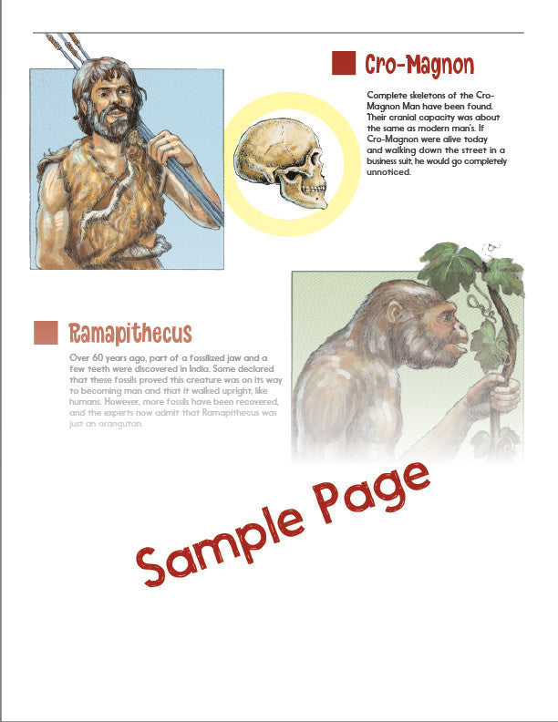 Study Guide Album 2