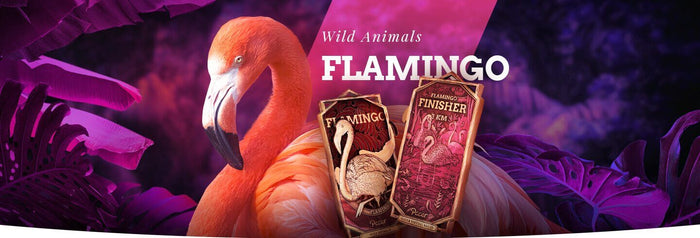 Wild Animals Virtual Race Series